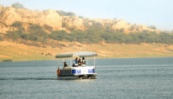 Chambal River Boat Safari