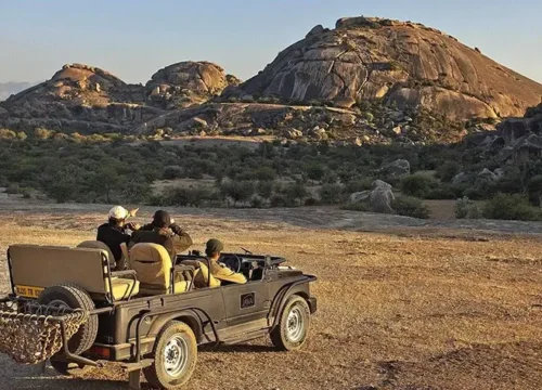 Jawai Leopard Safari