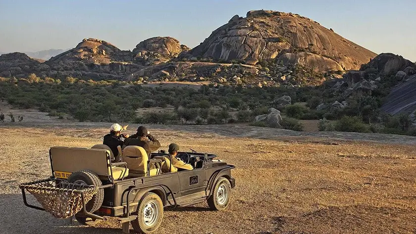 Jawai Leopard Safari