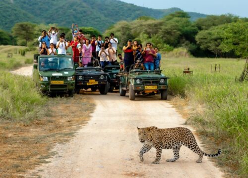 Jhalana Leopard Safari