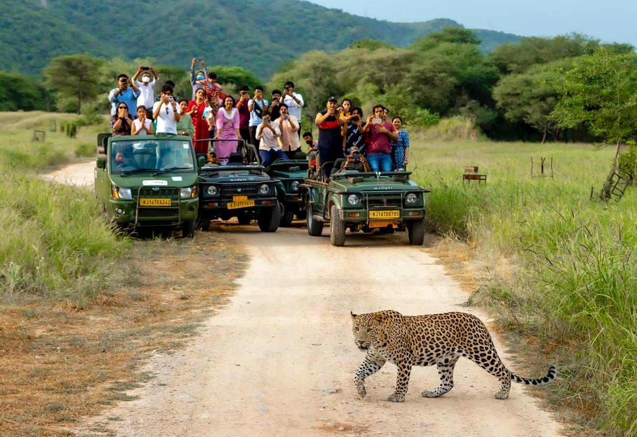 Jhalana Leopard Safari