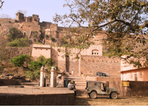 Ranthambhore Fort Visit